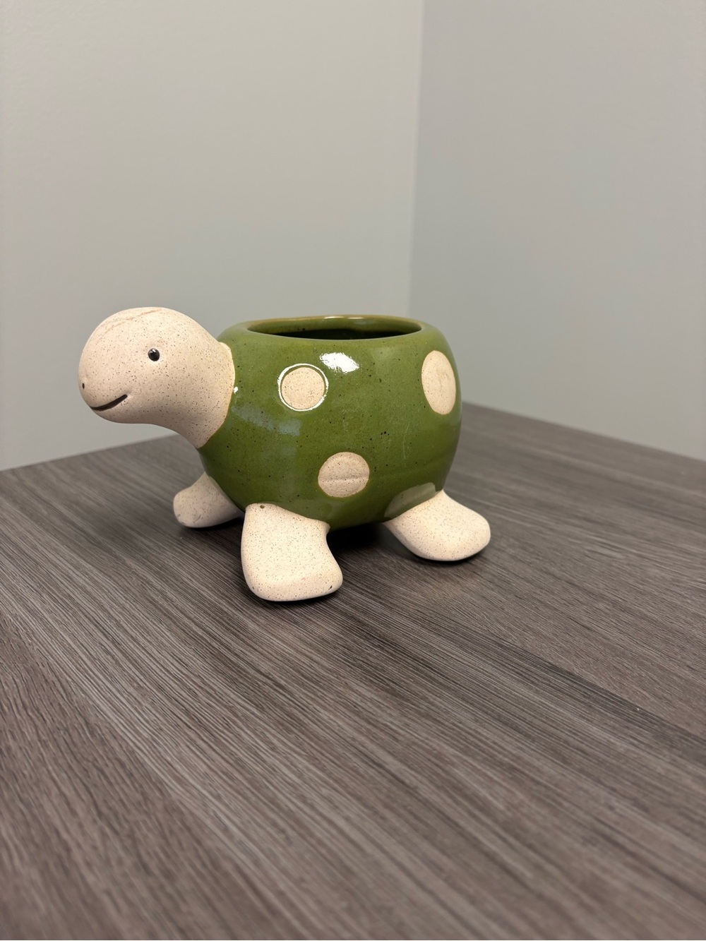 Cute Ceramic Turtle Planter Green Polka Dot Succulent Pot